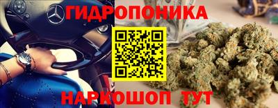 мяу мяу мука Вышний Волочёк