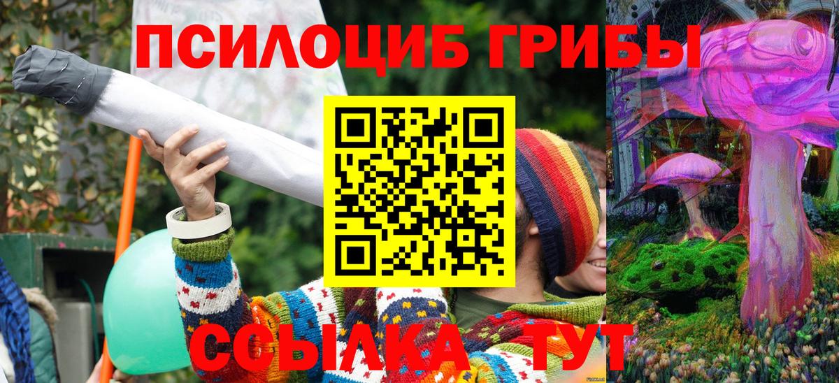 Псилоцибиновые грибы Magic Shrooms Гудермес