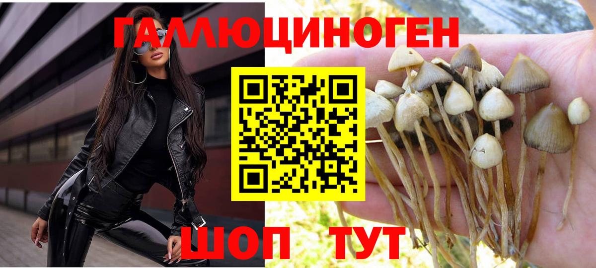 Гудермес  Псилоцибиновые грибы ЛСД  Вход с VPN  Псилоцибиновые грибы мухоморы 